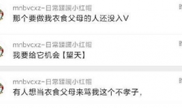 爆料吃瓜文案哪里找,吃瓜文案背后的秘密与技巧